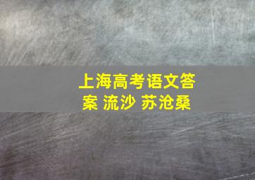 上海高考语文答案 流沙 苏沧桑